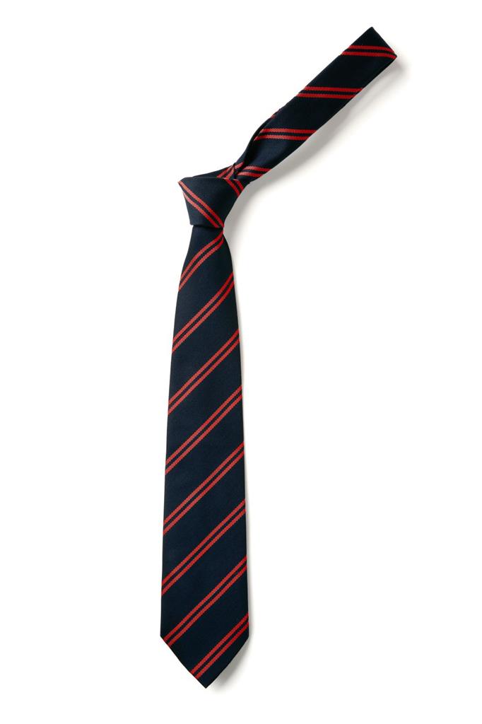 The Bay Standard Tie