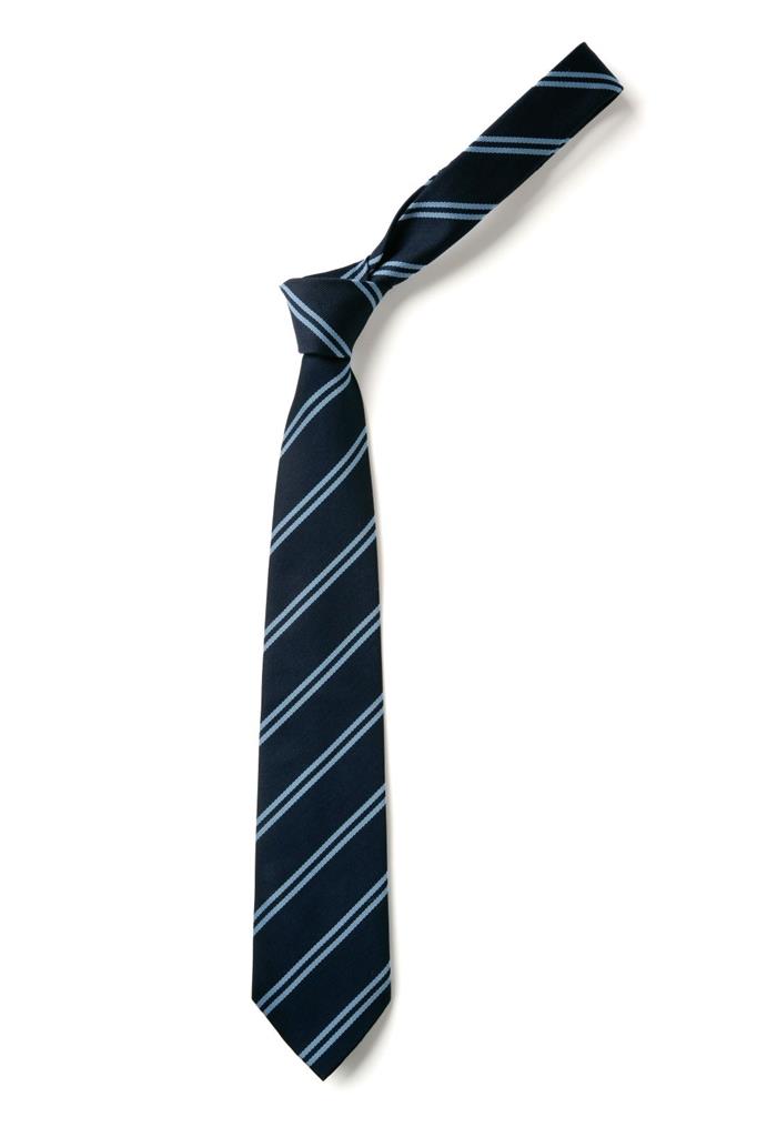 The Bay Standard Tie