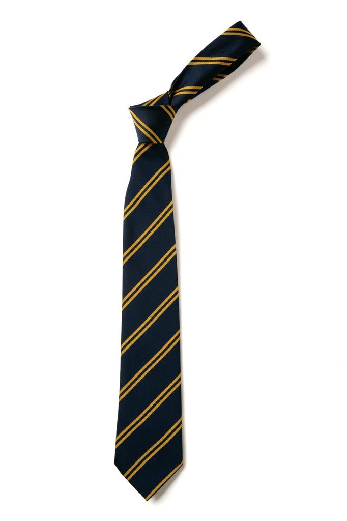 The Bay Standard Tie