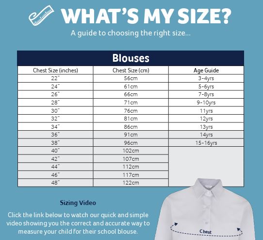 Long Sleeve Non Iron Blue Revere Blouse - Twin Pack