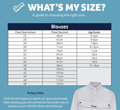 Long Sleeve Non Iron Blue Revere Blouse - Twin Pack