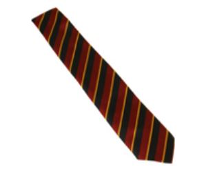 Ryde School Prep School Tie